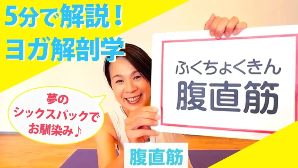 【5分で解説！ヨガ解剖学】今回のテーマは腹直筋！：鍼灸師、ヨガ講師Miwa先生
