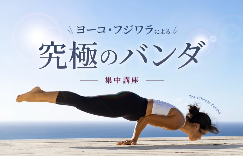 究極のバンダ集中講座