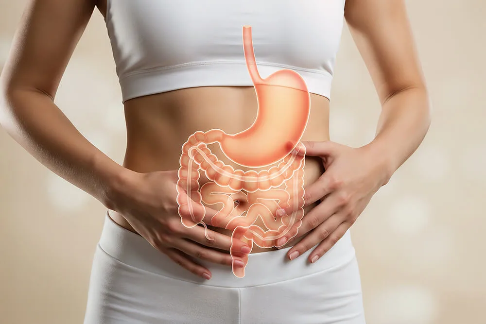 夏のダメージが現れる胃腸