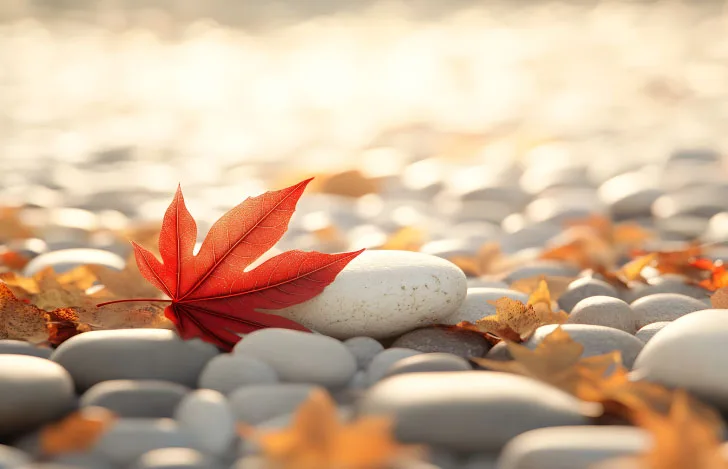 10月の過ごし方