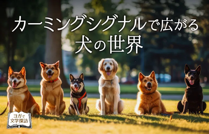 芝生の上に横並びで座る6匹の犬