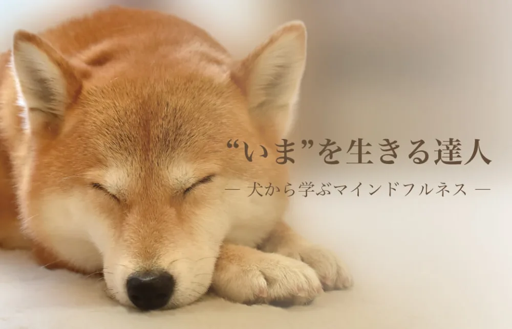 “いま”を生きる達人 ― 犬から学ぶマインドフルネス ―