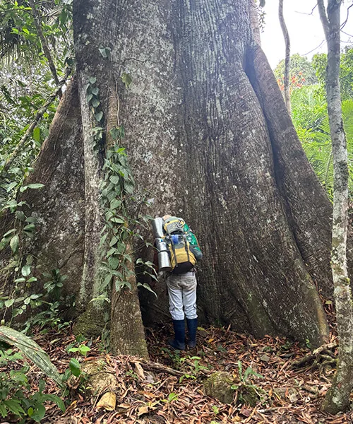 木の前で祈りを捧げる