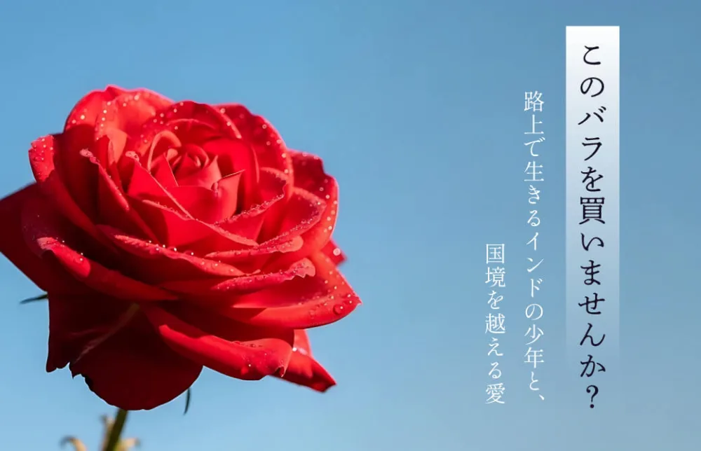「このバラを買いませんか？」— 路上で生きるインドの少年と、国境を越える愛 —