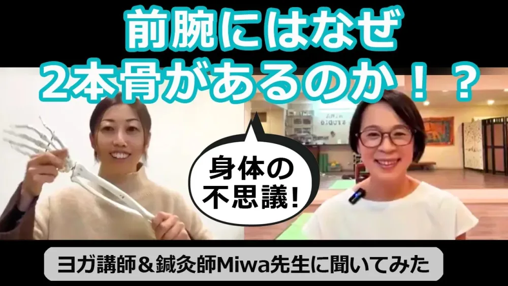 【身体の不思議】前腕にはなぜ2本骨があるのか！？