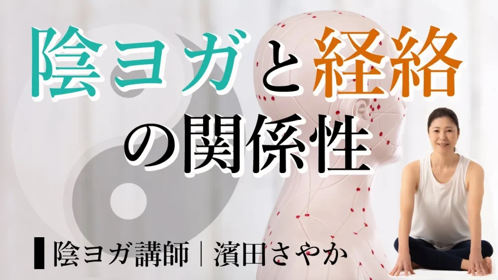 【陰ヨガ×経絡】濱田さやか先生に聞く！陰ヨガと経絡の関係性