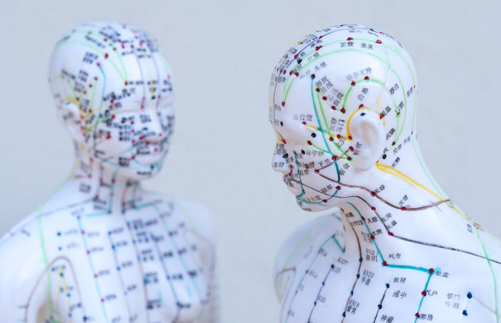 経絡人形が2つ向き合っている