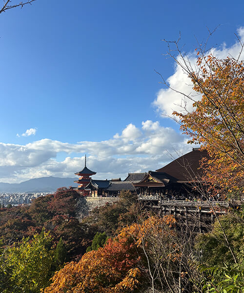 日本の素晴らしい風景