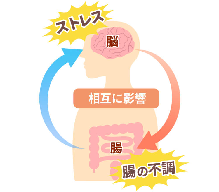 腸と脳は繋がっている